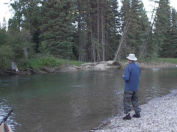Flathead Valley Swan River Montana Fly Fishing Gallery