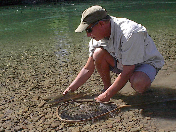 Flathead Valley Swan River Montana Fly Fishing Gallery